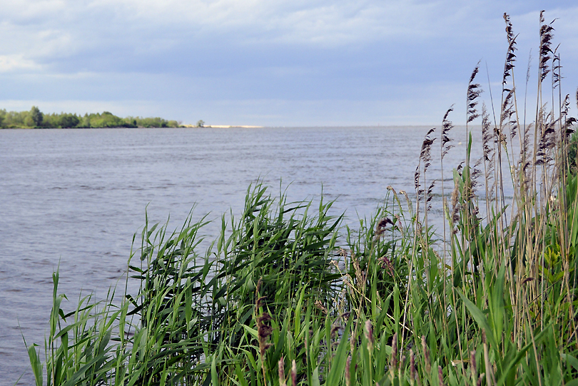 Mikoszewo